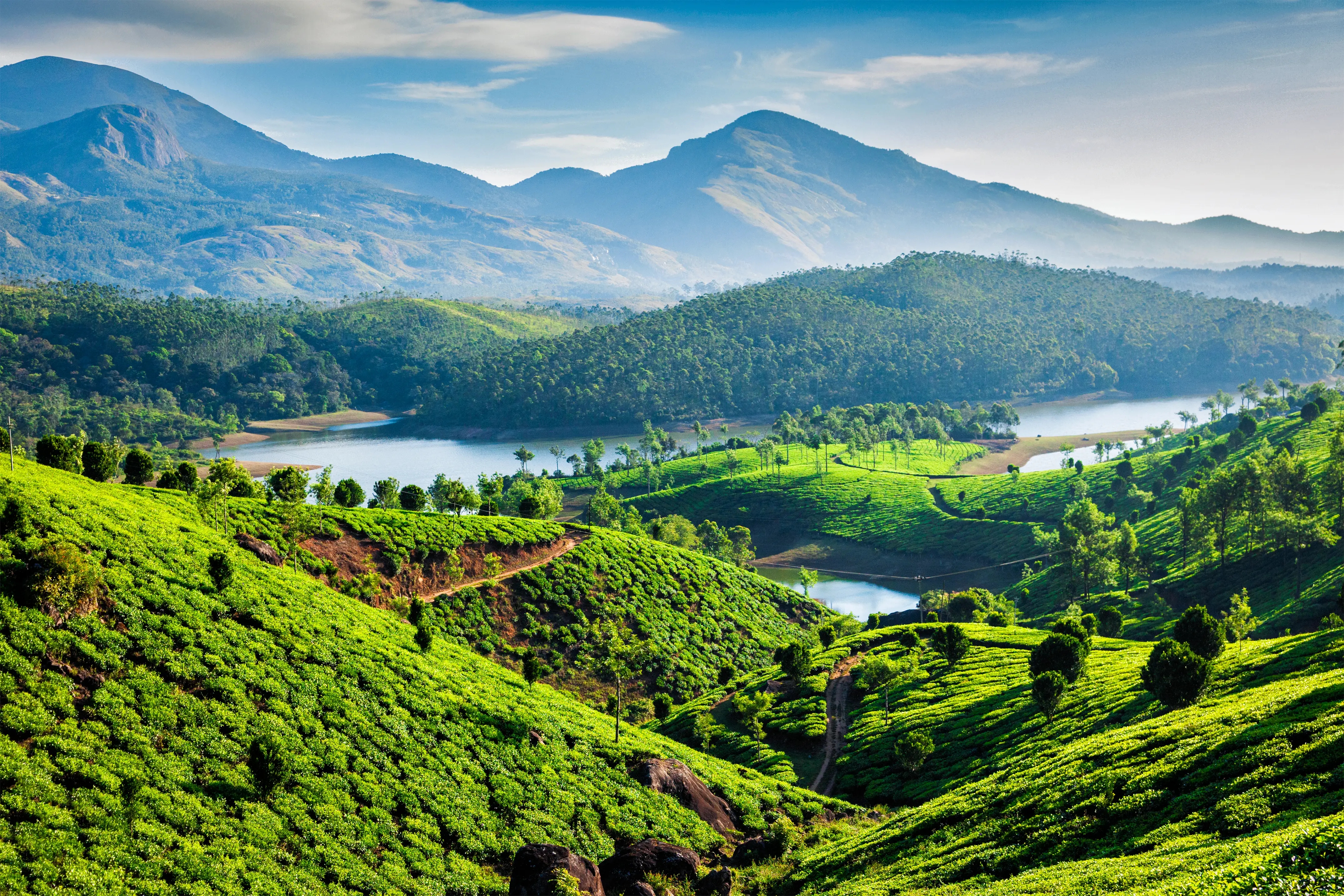 Kerala lake